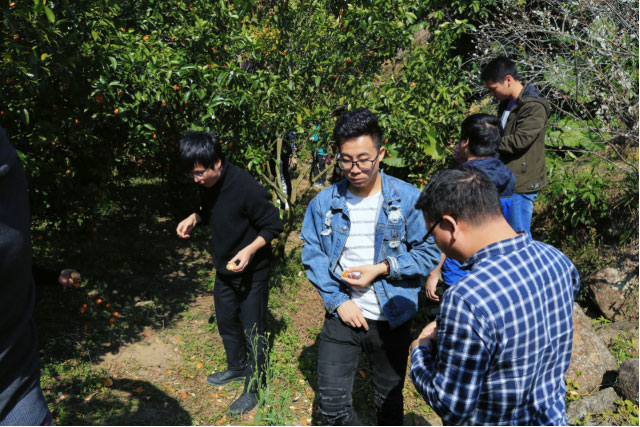 NG28南宫(中国)官方网站